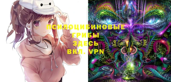 эйфоретик Костерёво