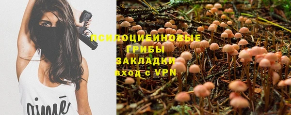 эйфоретик Костерёво