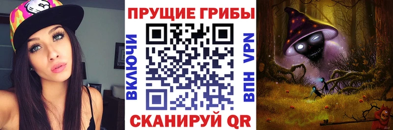 Галлюциногенные грибы Cubensis  Купить  Лермонтов 